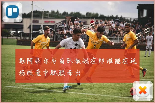 勒阿弗尔与南队激战在即谁能在这场较量中脱颖而出