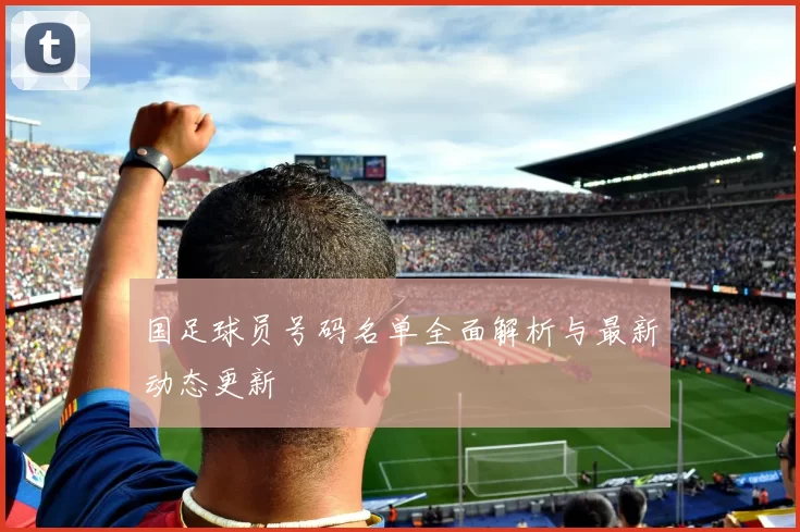 国足球员号码名单全面解析与最新动态更新